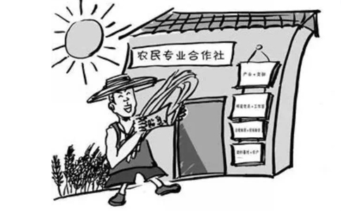 鄭州農民專(zhuān)業(yè)合作社設立登記表格如何填寫(xiě)