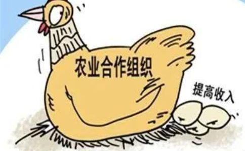 鄭州農民專(zhuān)業(yè)合作社注冊條件及資料