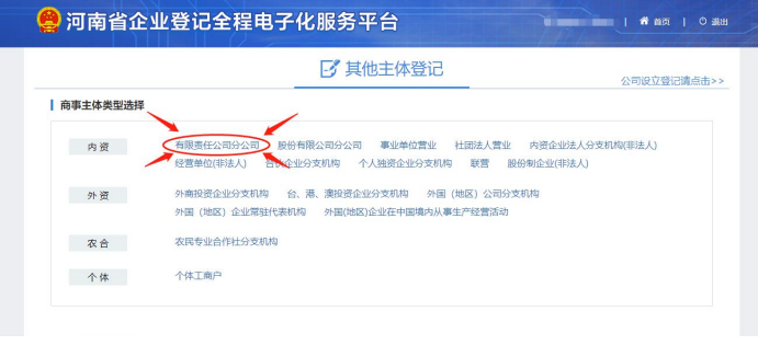 上街區網(wǎng)上注冊分公司流程選擇有限責任分公司注冊