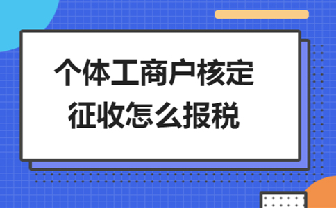 天津市個(gè)體工商戶(hù)個(gè)人所得稅核定辦理流程